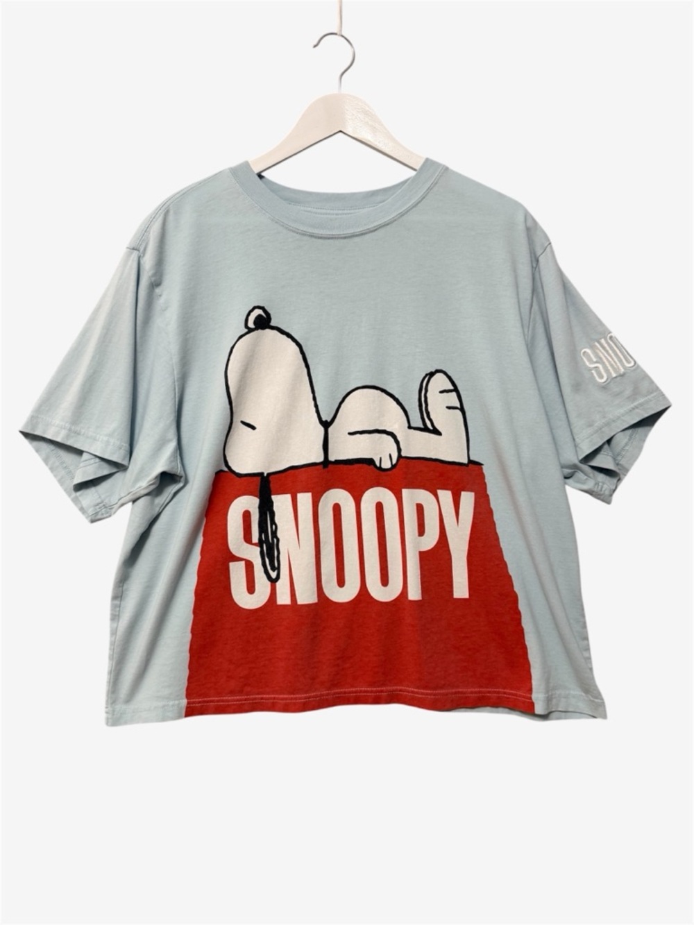Snoopy Oversized Boxy Graphic Tee Size Large Light Blue Embroidered Sleeve